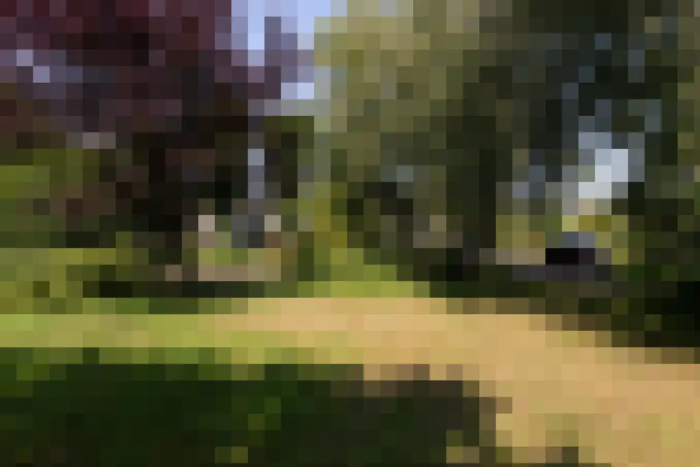 Molenbuurt 4 Koudum thumbnail 75