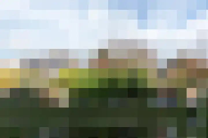 Molenbuurt 9 Akersloot thumbnail 22