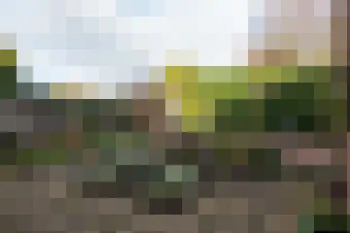 Molenbuurt 9 Akersloot thumbnail 32