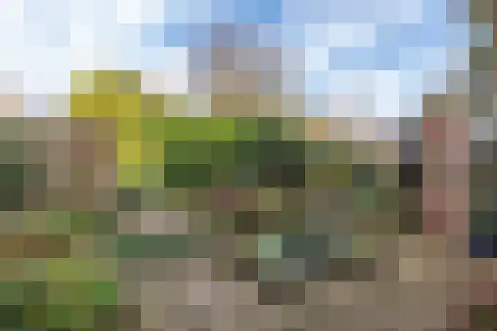 Molenbuurt 9 Akersloot thumbnail 33