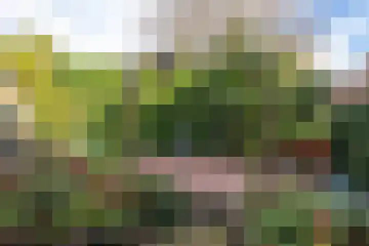Molenbuurt 9 Akersloot thumbnail 34