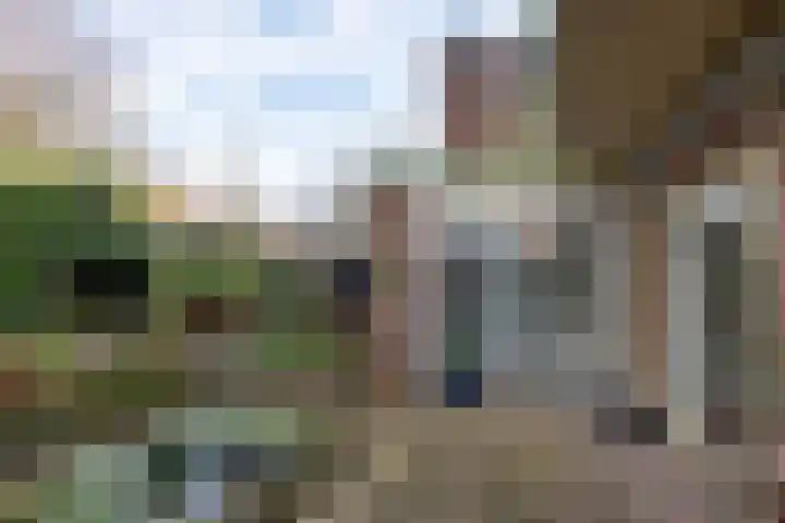 Molenbuurt 9 Akersloot thumbnail 37