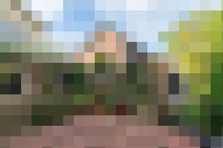 Molenbuurt 9 Akersloot thumbnail 38