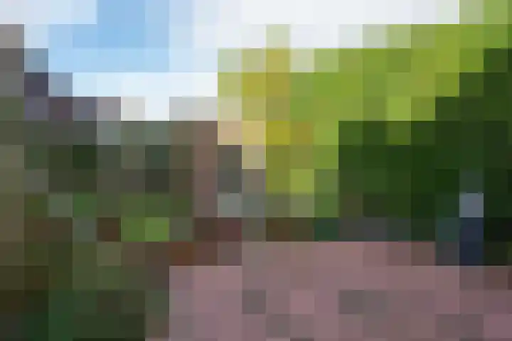 Molenbuurt 9 Akersloot thumbnail 39
