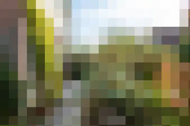 Molenbuurt 9 Akersloot thumbnail 42