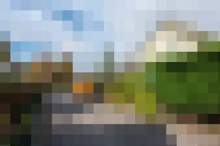 Molenbuurt 9 Akersloot thumbnail 43