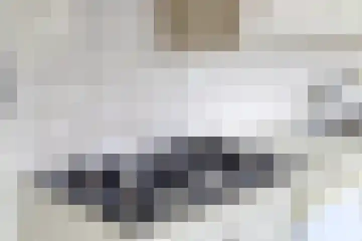 Molencamp 18 Rolde thumbnail 11