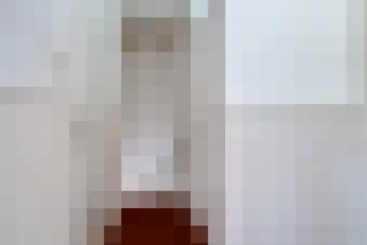 Molencamp 18 Rolde thumbnail 13