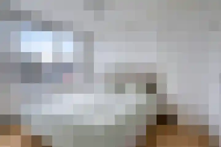 Molencamp 18 Rolde thumbnail 17