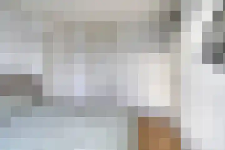 Molencamp 18 Rolde thumbnail 18