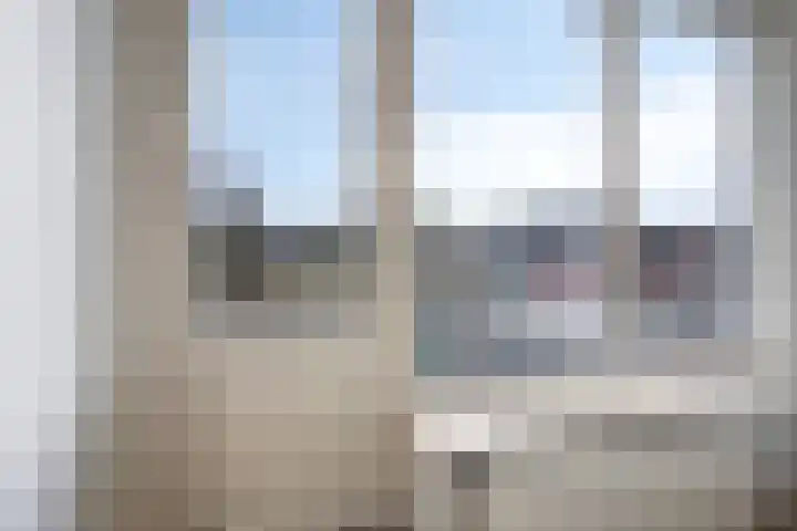 Molencamp 18 Rolde thumbnail 19