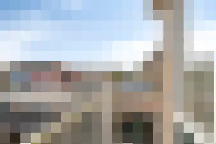 Molencamp 18 Rolde thumbnail 20