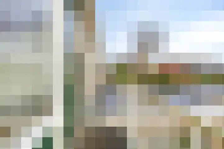 Molencamp 18 Rolde thumbnail 21