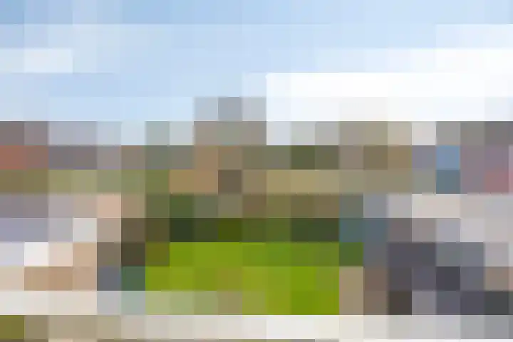 Molencamp 18 Rolde thumbnail 22