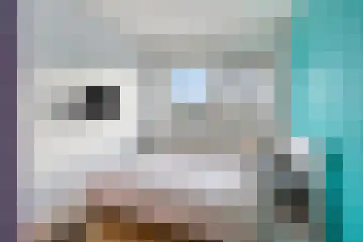 Molencamp 18 Rolde thumbnail 26