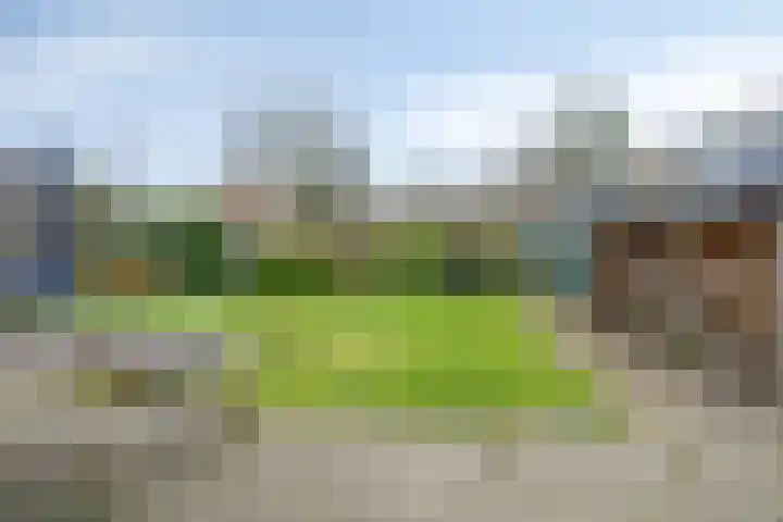 Molencamp 18 Rolde thumbnail 30