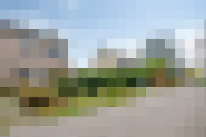 Molencamp 18 Rolde thumbnail 39