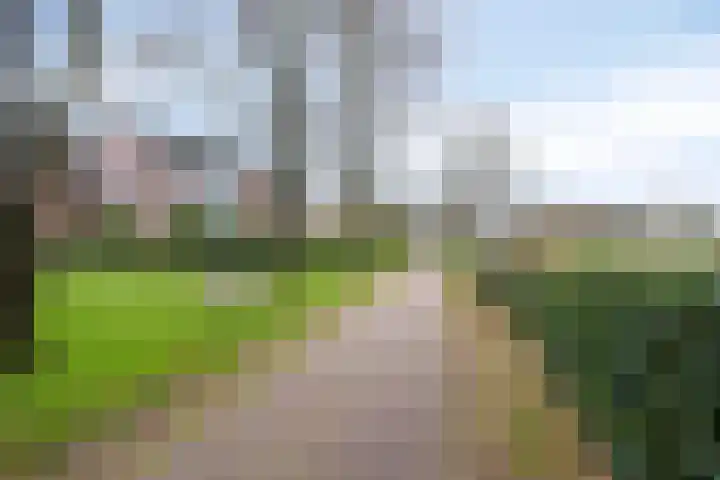 Molencamp 18 Rolde thumbnail 41
