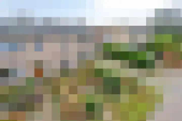 Molencamp 18 Rolde thumbnail 42