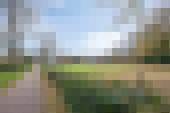 Molencamp 18 Rolde thumbnail 44
