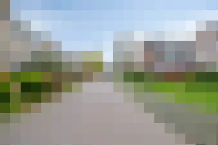 Molencamp 18 Rolde thumbnail 45
