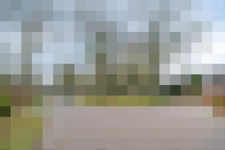 Molencamp 18 Rolde thumbnail 46