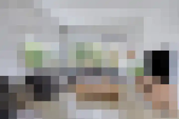 Molencamp 18 Rolde thumbnail 5
