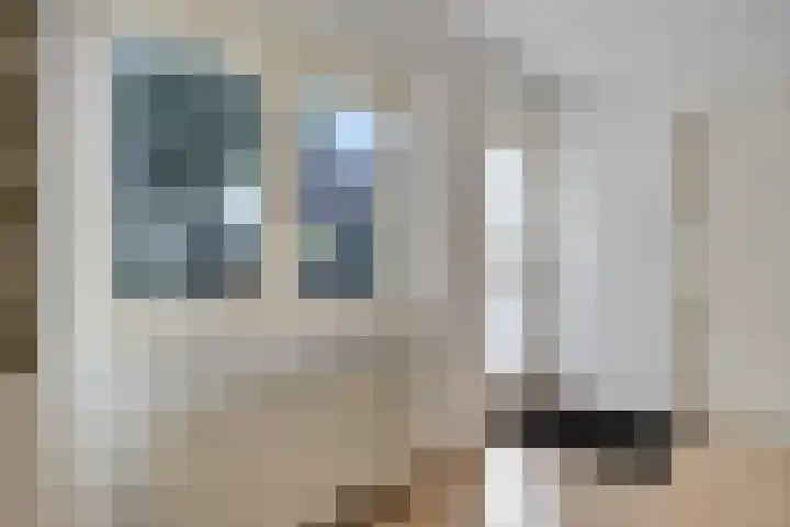 Molencamp 20 Rolde thumbnail 14