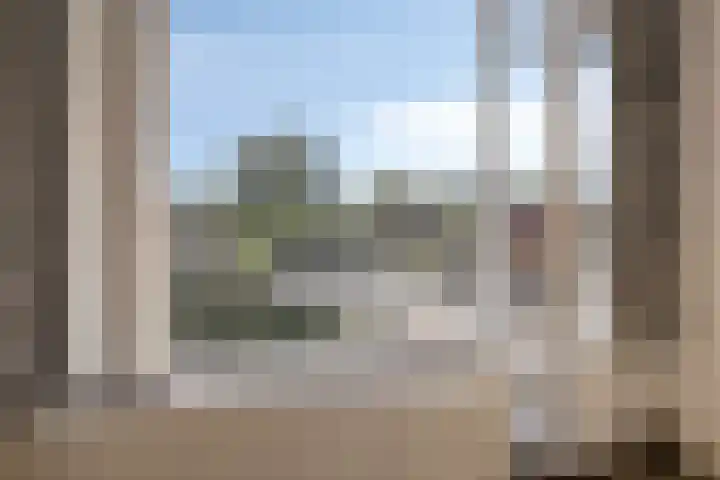 Molencamp 20 Rolde thumbnail 21