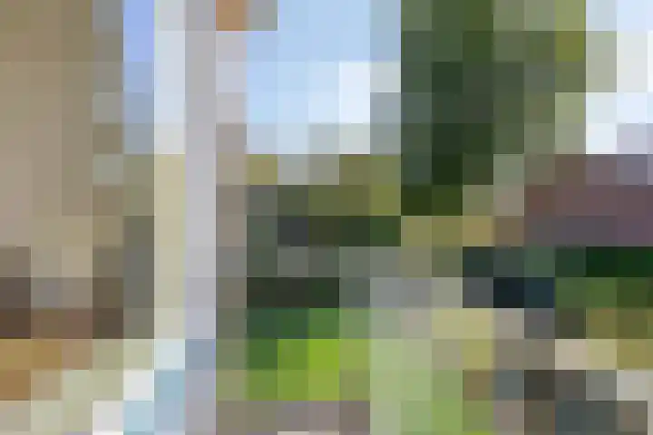 Molencamp 20 Rolde thumbnail 23