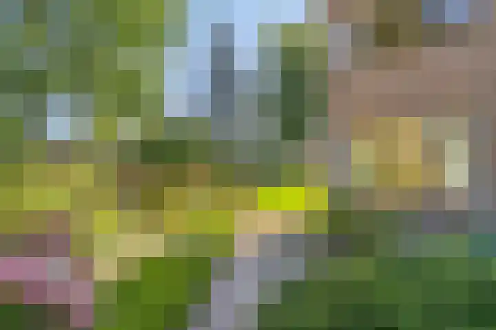Molencamp 20 Rolde thumbnail 35