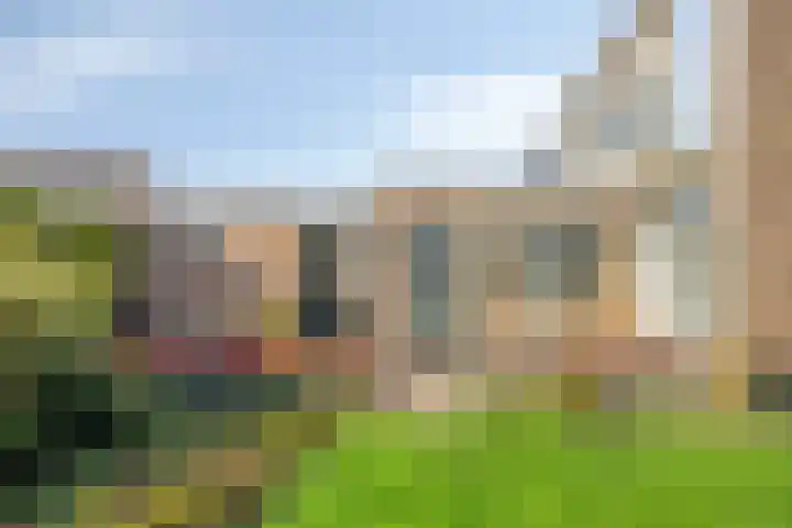Molencamp 20 Rolde thumbnail 39