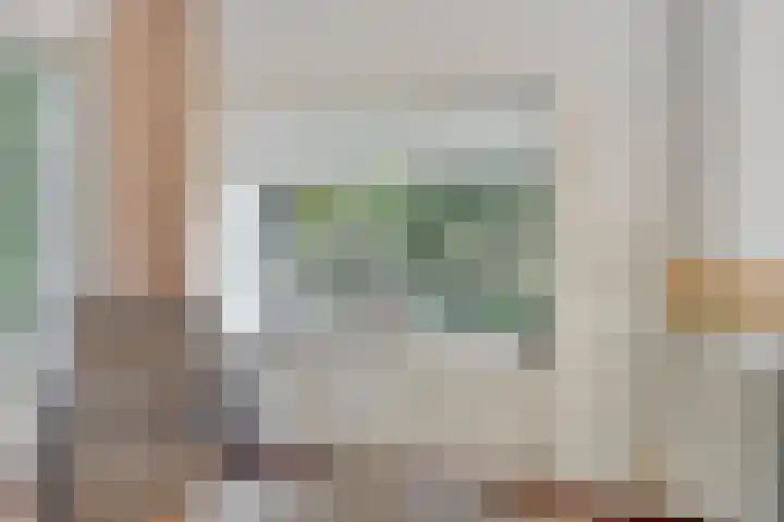 Molencamp 20 Rolde thumbnail 4