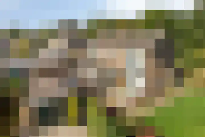 Molencamp 20 Rolde thumbnail 42