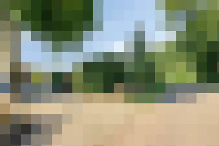 Molencamp 20 Rolde thumbnail 45