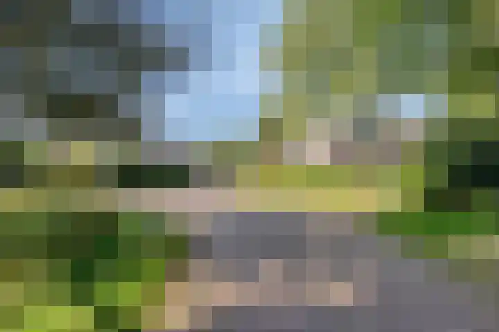 Molencamp 20 Rolde thumbnail 46