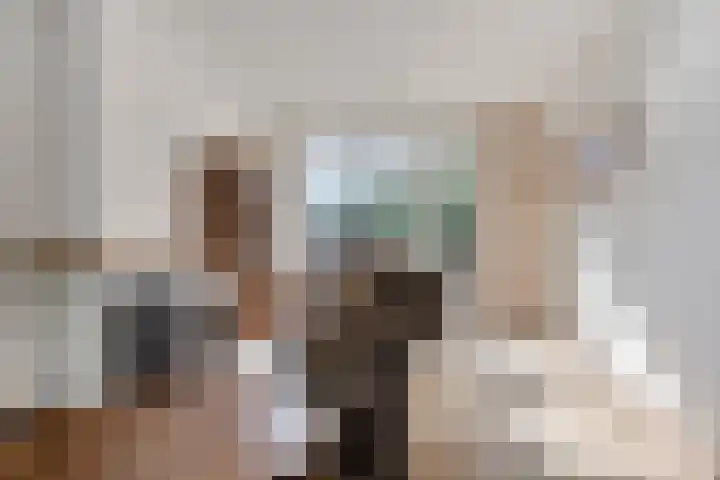 Molencamp 20 Rolde thumbnail 5