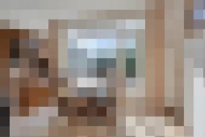 Molencamp 20 Rolde thumbnail 6