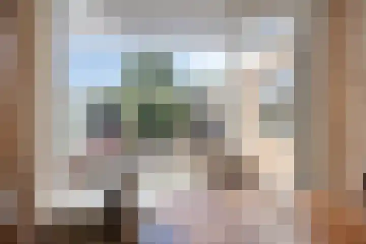 Molencamp 20 Rolde thumbnail 8