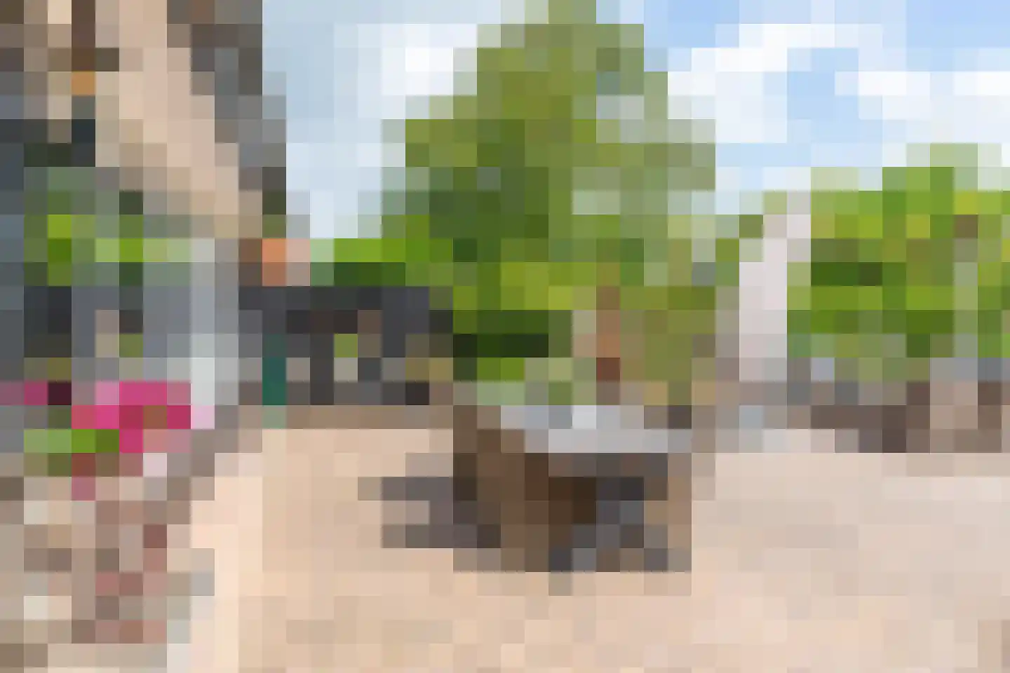 Molendam 27 Ochten thumbnail 66