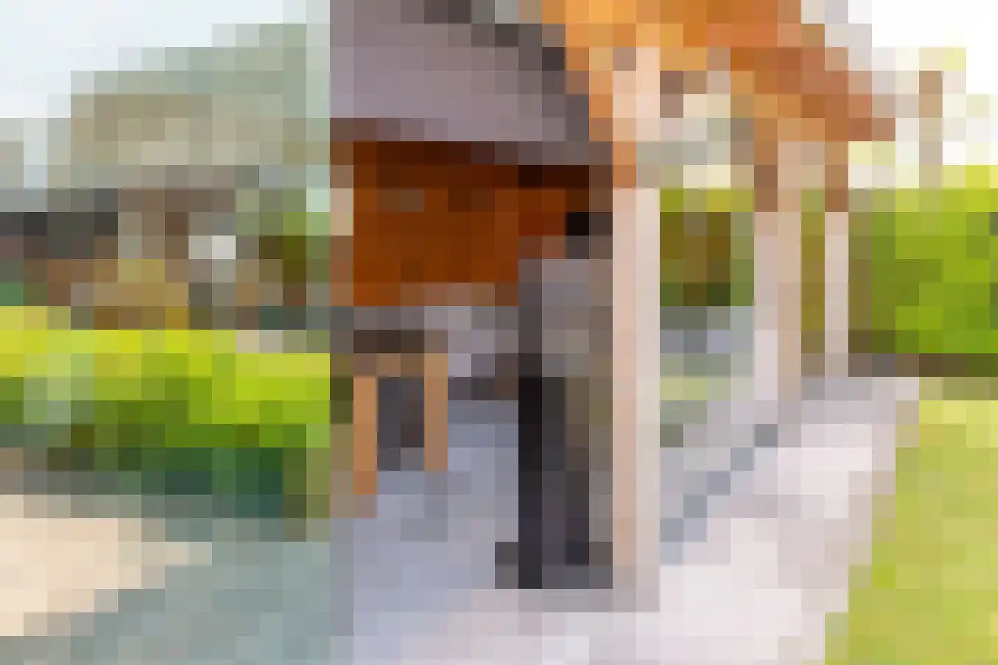Molendam 27 Ochten thumbnail 74