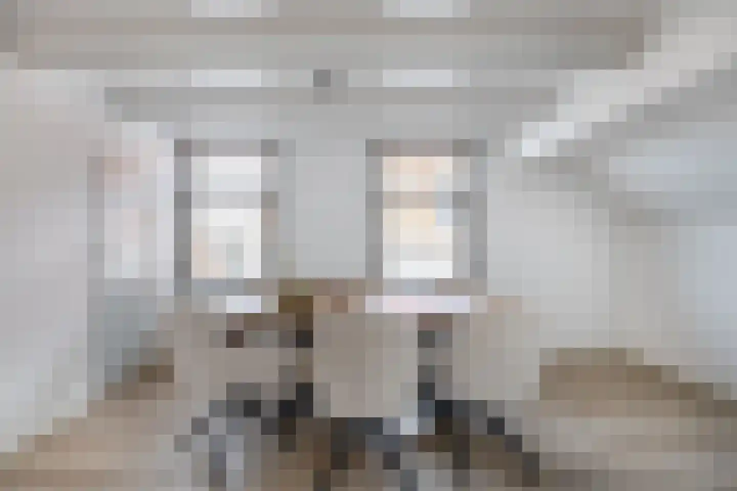 Molendijk 1 a Ooltgensplaat thumbnail 16
