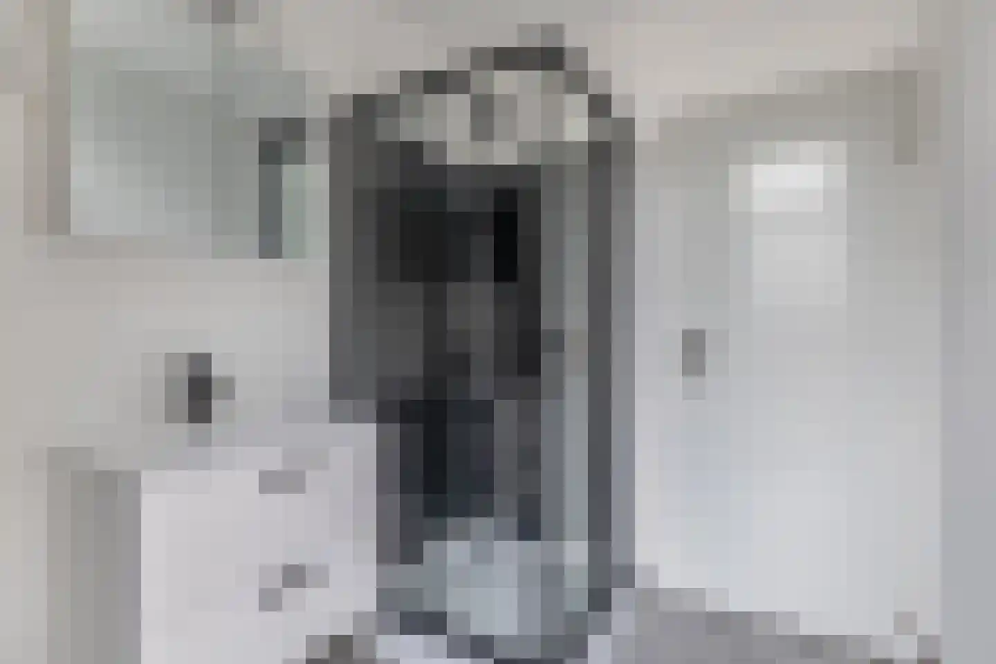 Molendijk 1 a Ooltgensplaat thumbnail 22