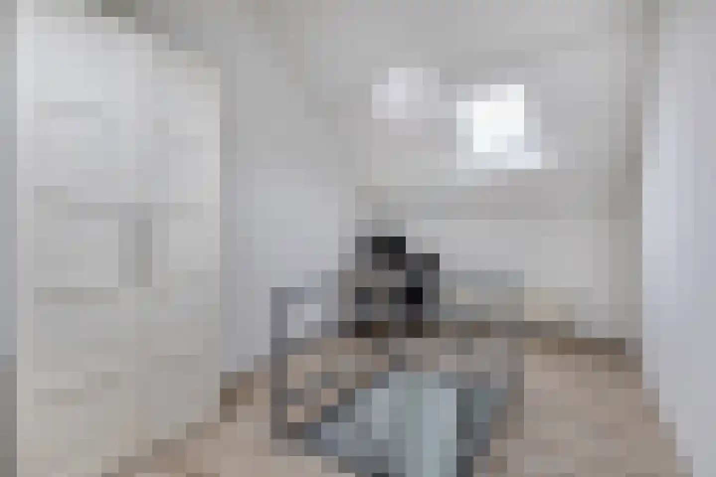 Molendijk 1 a Ooltgensplaat thumbnail 26