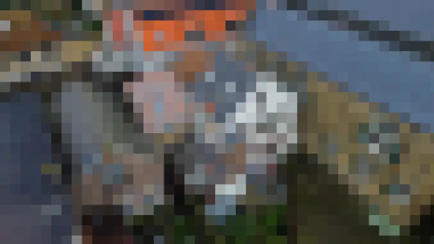 Molendijk 1 a Ooltgensplaat thumbnail 31