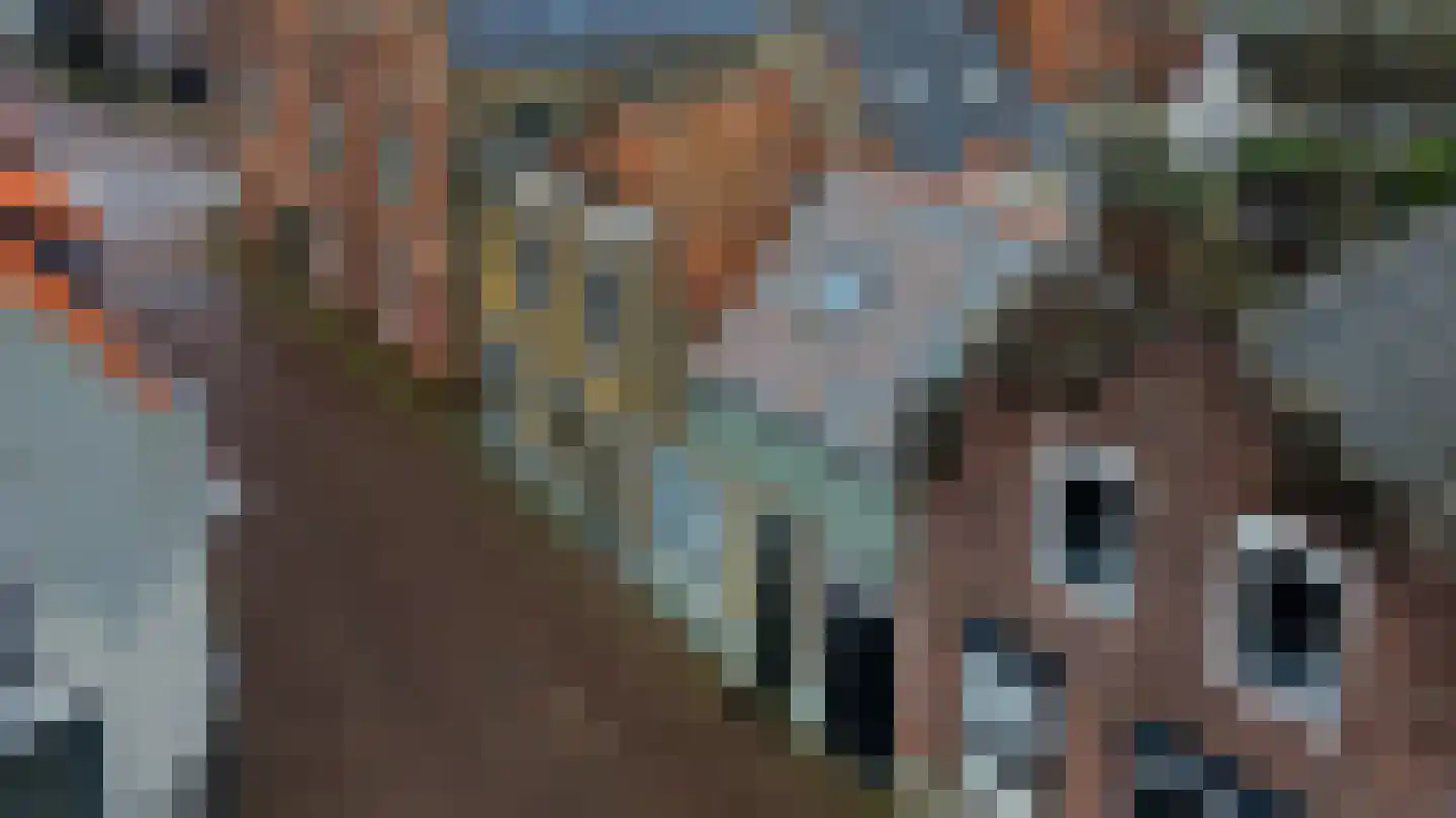 Molendijk 1 a Ooltgensplaat thumbnail 34