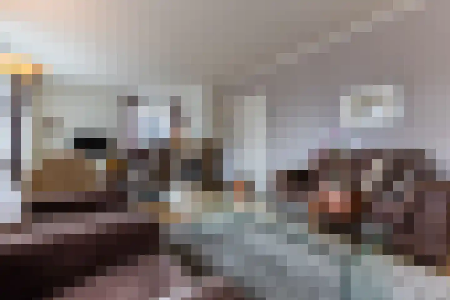 Molendijk 10 Lichtenvoorde thumbnail 18