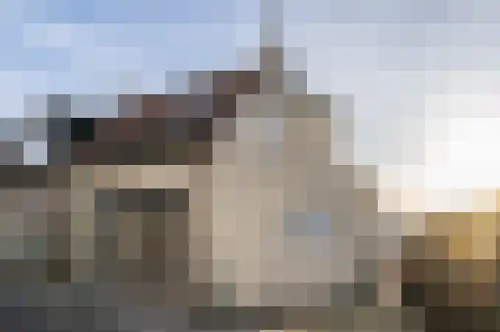 Molendijk 100 Nieuwe-Tonge thumbnail 23