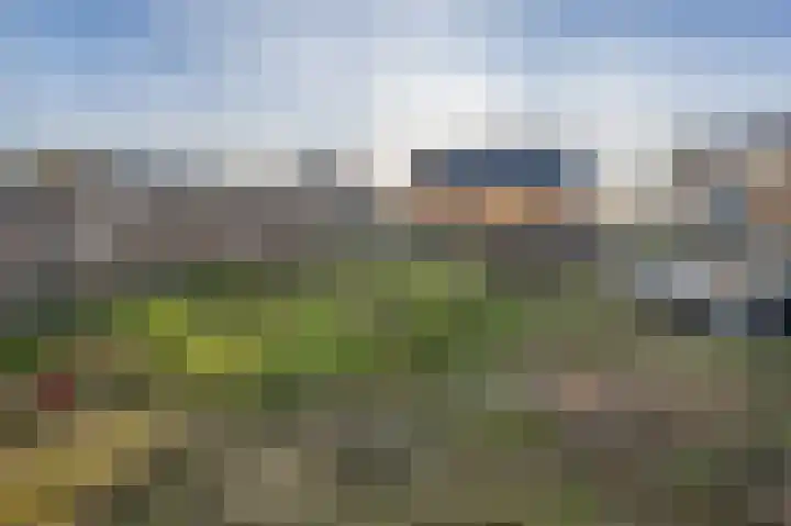 Molendijk 100 Nieuwe-Tonge thumbnail 25