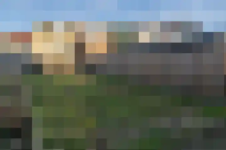 Molendijk 100 Nieuwe-Tonge thumbnail 26